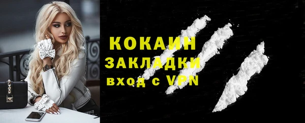 кокс Арсеньев