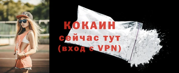 кокс Арсеньев