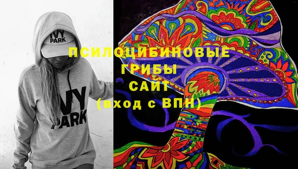 кокс Арсеньев