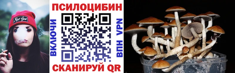 хочу   Дорогобуж  Псилоцибиновые грибы ЛСД 